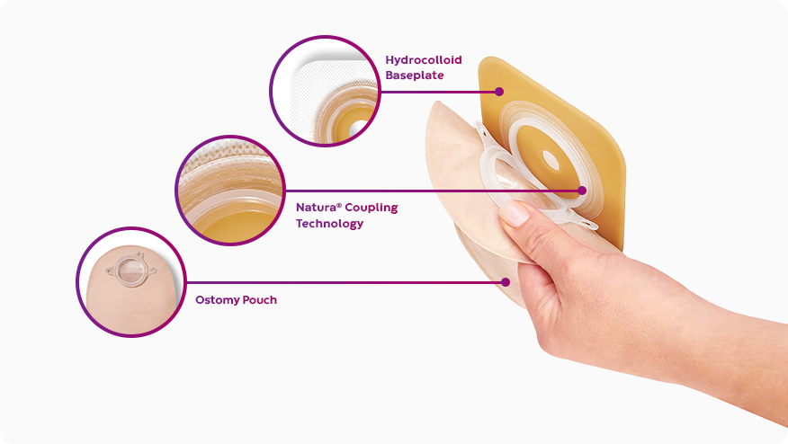 Natura® 2 -osaisen järjestelmän havainnekuva