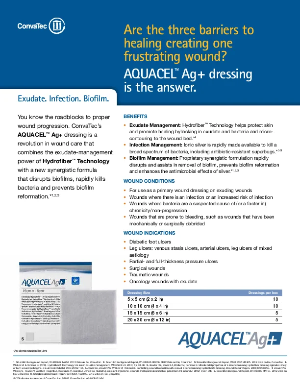 graphical user interface, text, application, Word