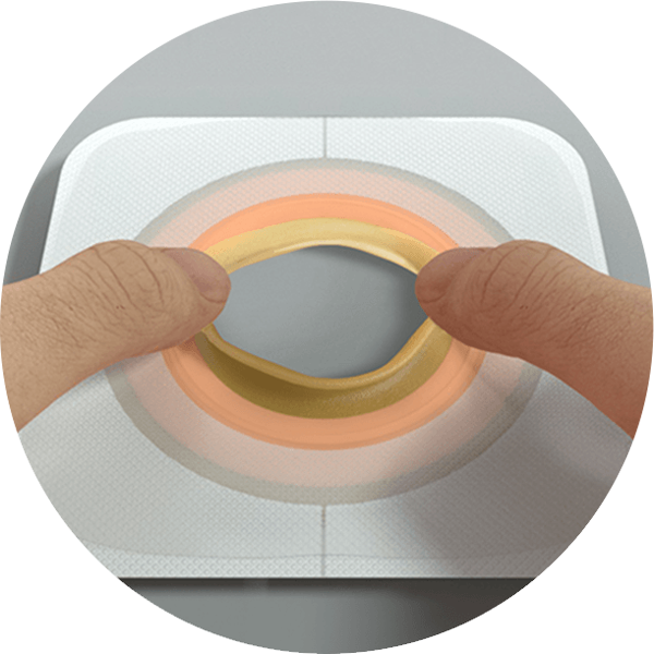 um close-up de uma placa de base