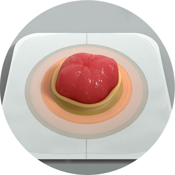 um close-up de uma placa de base